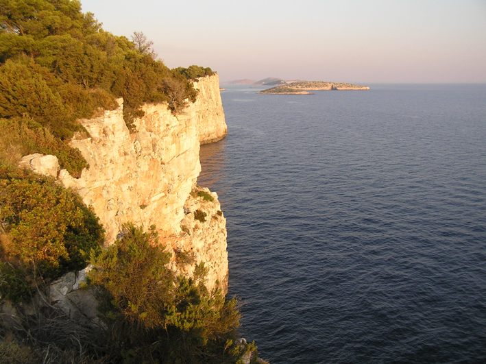 Telascica